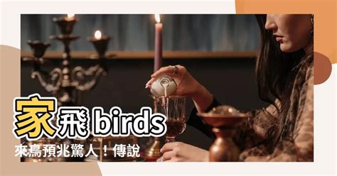 鳥飛進家裡死掉